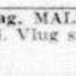 Mamlok-Stössel, Telegraaf 24 sep 1938.jpg