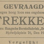 Hoogstraal, Izaac, 1923.03.28, De Ster in Den Haag, Trekker gevraagd (De Grondwet).jpg